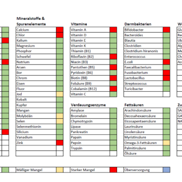 Das Bild zeigt ein Testergebnis Vitalstoffe