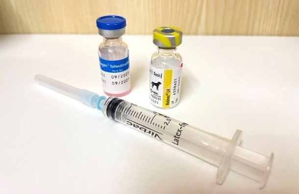 Das Bild zeigt einen Impfstoff und Spritze