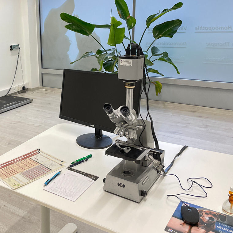 Untersuchungsger&auml;t auf Tisch in der Tierarztpraxis Kitzweger in Fischamend