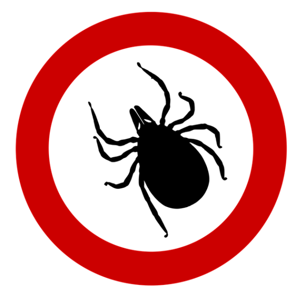 Das Bild zeigt das Symbol einer Zecke